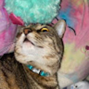 Meet your Posher, Lexi